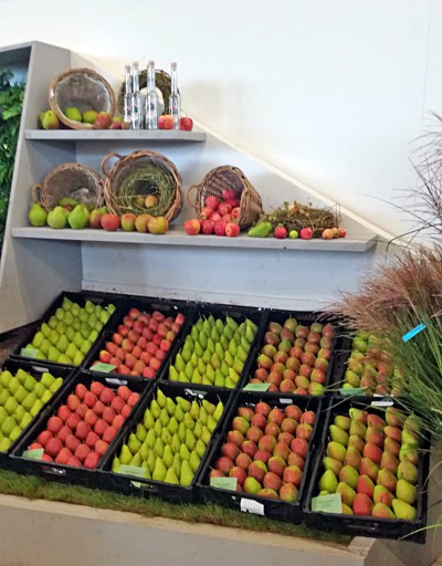 Obstsortiment vom Obstgut Triebe zur Buga 2021