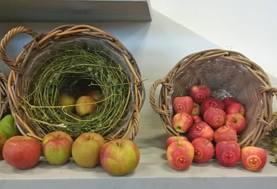 Buga Äpfel vom Obstgut Triebe 2021