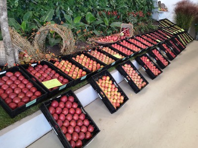 Buga 2021 Äpfel und Birnen vom Obstgut Triebe