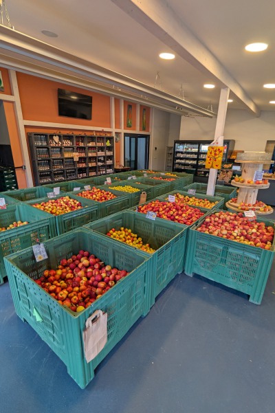 Apfeltheke_ObstgutTriebe
