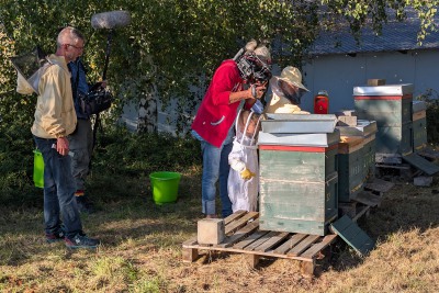 Imkerei-TV-Dreh-Obstgut-Triebe Imkerei-TV-Dreh-Obstgut-Triebe