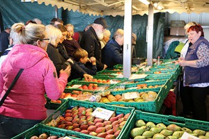 Apfelmarkt Obstgut Triebe Apfelmarkt Obstgut Triebe