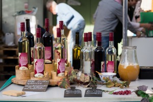 Weinauswahl vom Obstgut Triebe Weinauswahl vom Obstgut Triebe