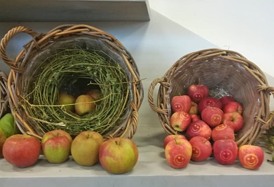 Buga Äpfel vom Obstgut Triebe 2021 Buga Äpfel vom Obstgut Triebe 2021