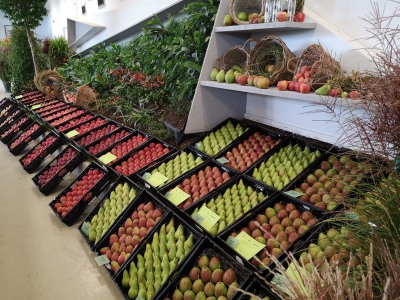 Buga 2021 Äpfel und Birnen vom Obstgut Triebe Buga 2021 Äpfel und Birnen vom Obstgut Triebe