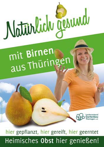 Natürlich gesund mit Obst aus Thüringen – Birnen Natürlich gesund mit Obst aus Thüringen – Birnen