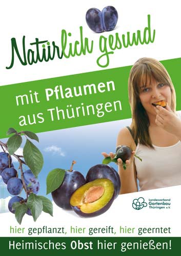 Natürlich gesund mit Obst aus Thüringen – Pflaumen Natürlich gesund mit Obst aus Thüringen – Pflaumen