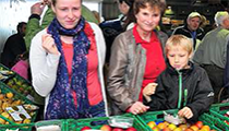 Der Apfel lockt