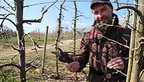 Frühling auf dem Obstgut 2020