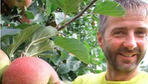 Frisches Obst für Unternehmen