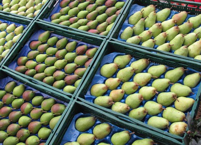 Obstaufbau IGA Berlin 2017