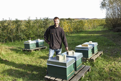 Lars Triebe bei seinen Bienenvölkern