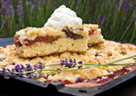 Natürlich gesund mit Obst aus Thüringen – Pflaumenkuchen
