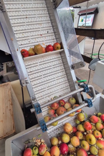 Mosterei_ObstgutTriebe-1 Mosterei_ObstgutTriebe-1