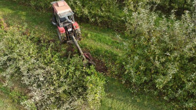 Bearbeitung der Obstplantage