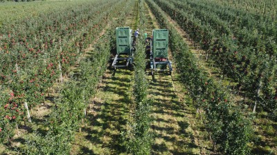 Obstgut Triebe – Impressionen von der Apfelplantage