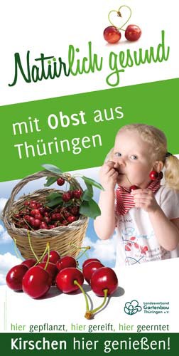 Natürlich gesund mit Obst aus Thüringen – Kirschen