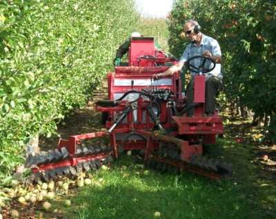 Obstgut Triebe – Geschichte 1999–2004
