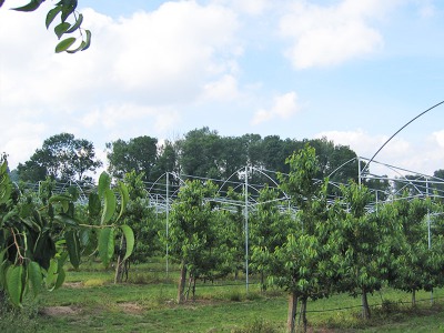 weitläufige Anbauflächen weitläufige Anbauflächen