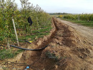 Tröpfchenbewässerung ELER gefördert 2018