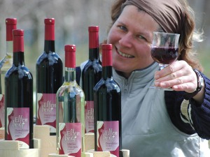 der Elfenbergwein des Obstguts Triebe